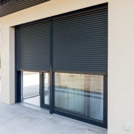 EXTERIOR DOOR BLINDS